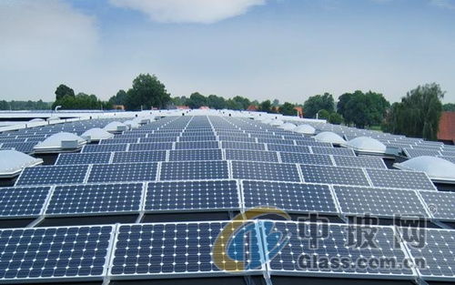 于金辉 光伏市场前景值得期待