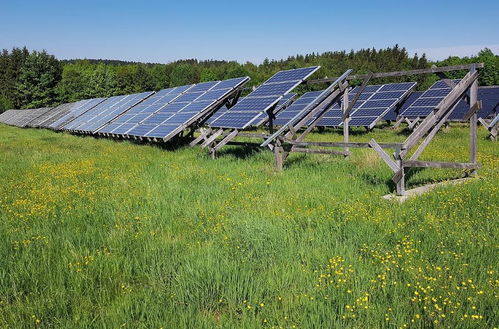 美国太阳能巨头破产 为何太阳能产业遭遇寒冬？