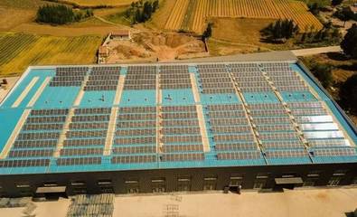 老板在工厂屋顶装光伏，节省590万支出！揭秘太阳能发电技术服务的价值