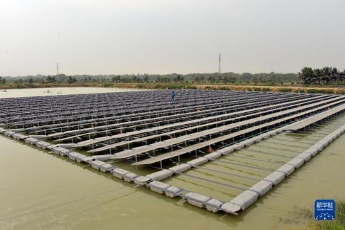 孟加拉国首个水上漂浮太阳能光伏发电站 绿色能源革新与技术服务新篇章